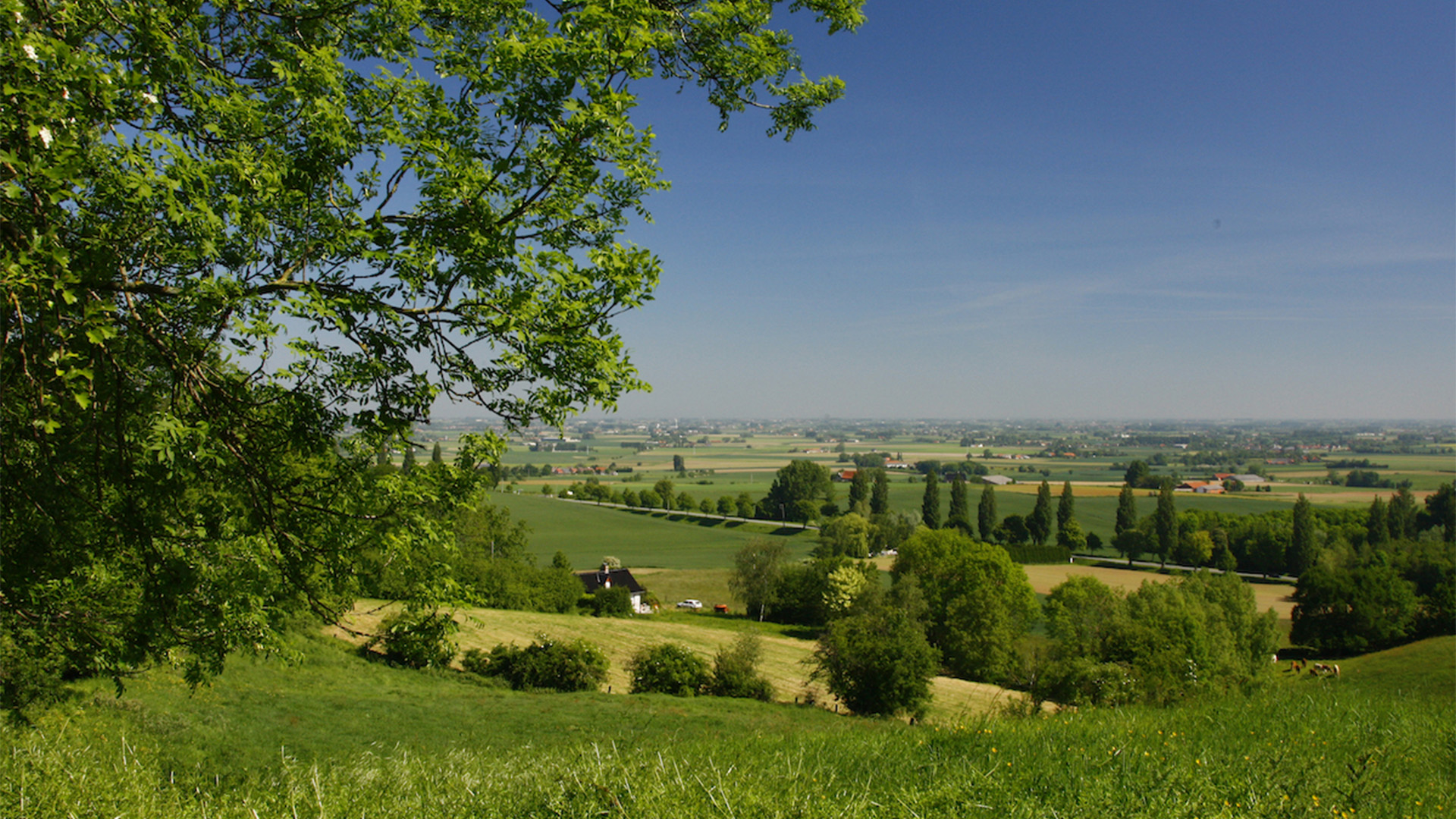 Un monde parallèle 