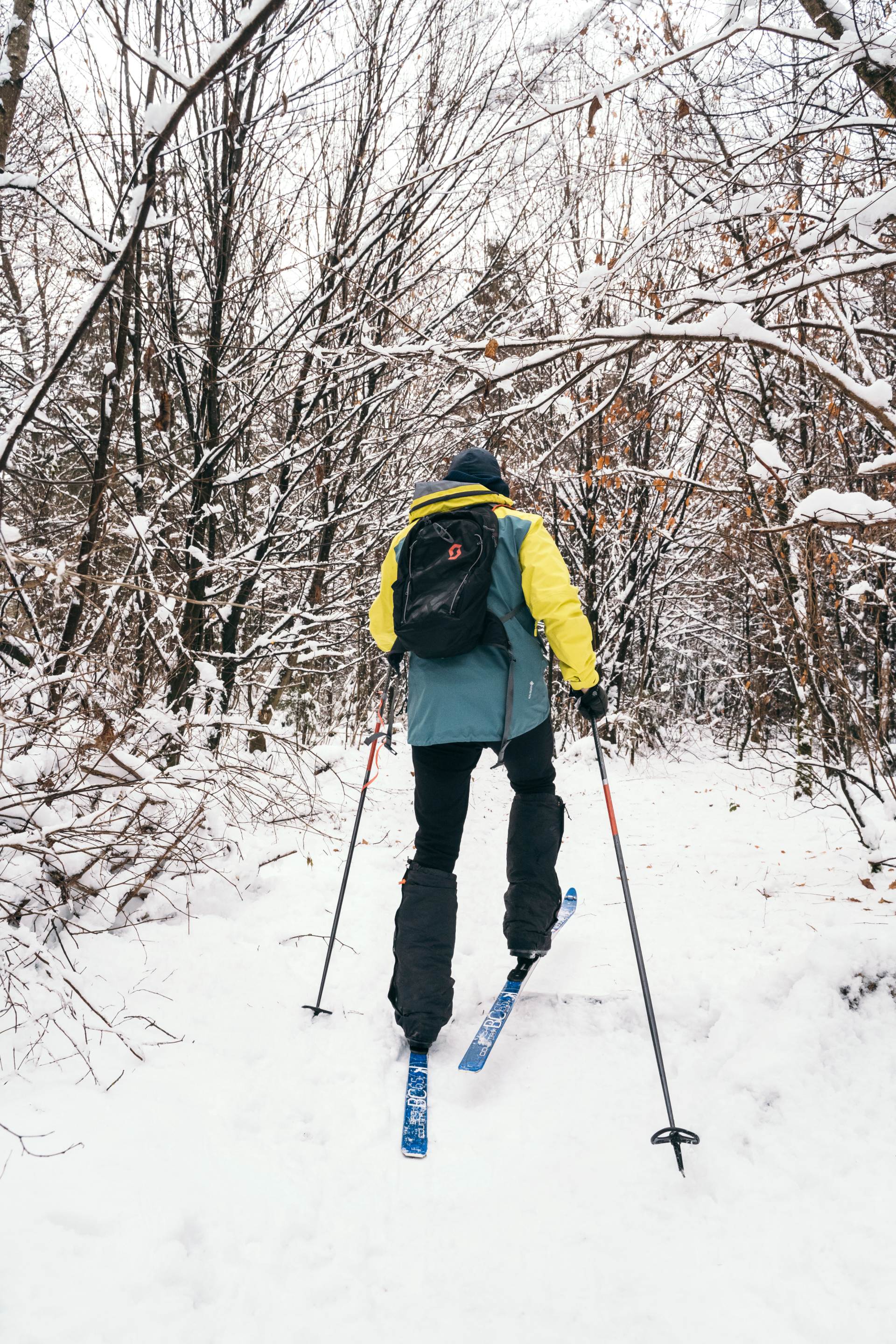 Sebastian Copeland langlauft door het bos.